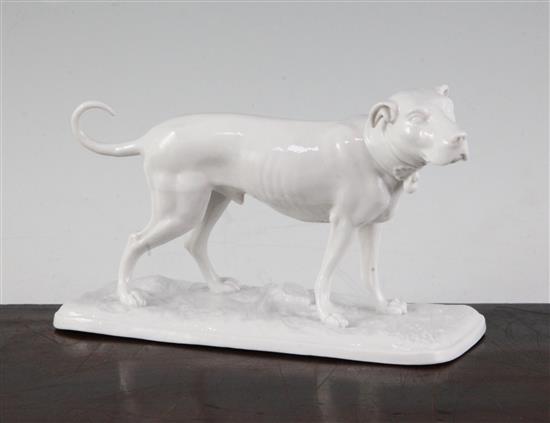 A Nymphenburg white glazed porcelain model of a standing hound, length 15.3cm (6in.)